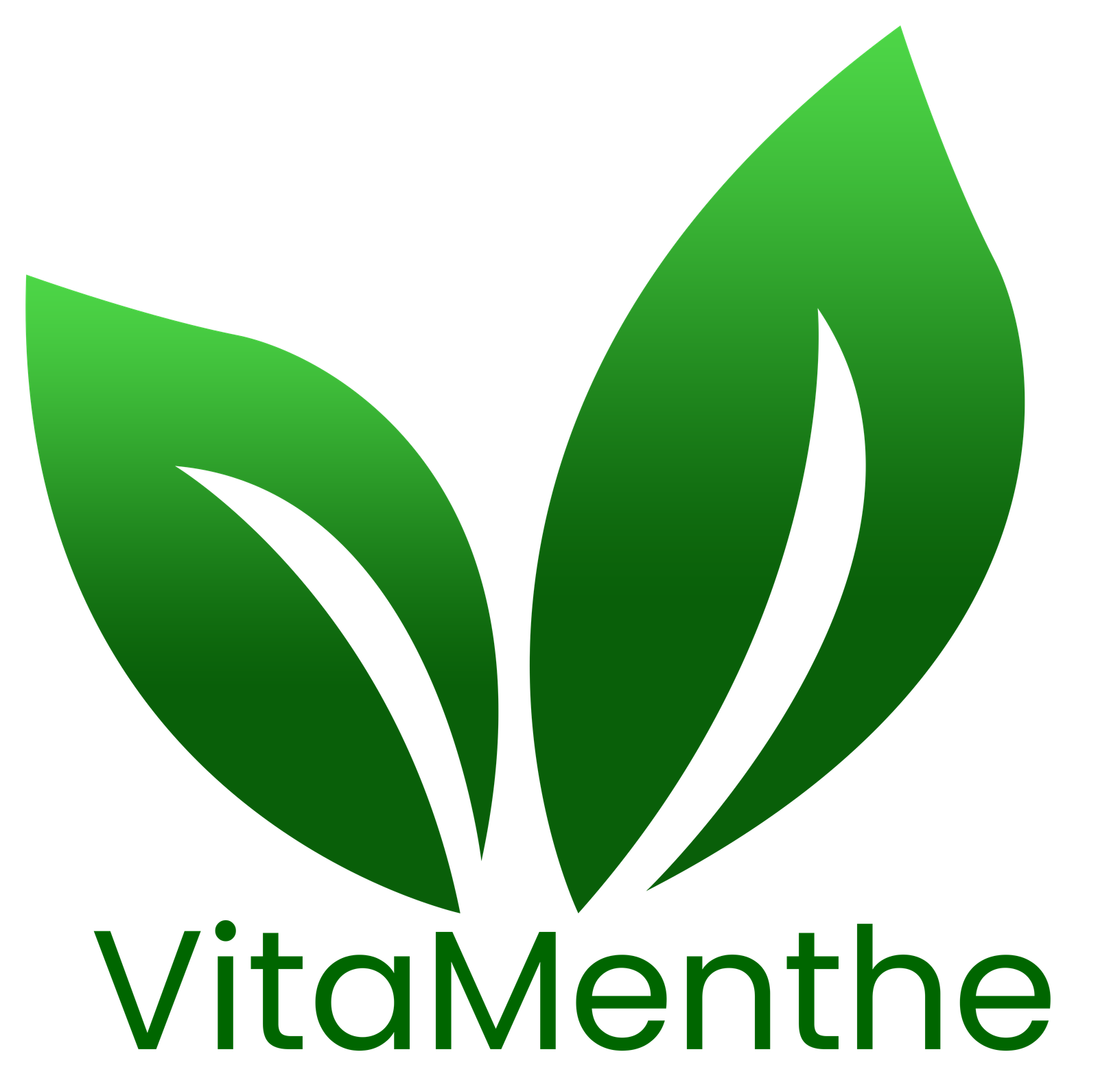 Logo de vitamenthe